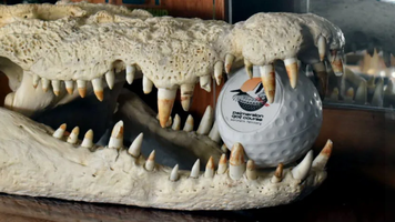 Palmerston Golf Club