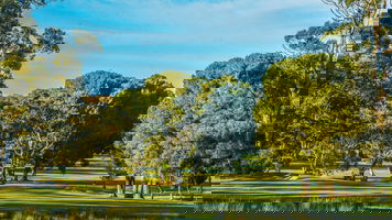 Tanunda Pines Golf Course