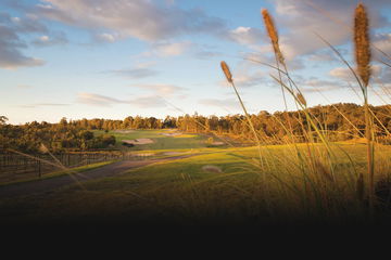 Cypress Lakes Resort