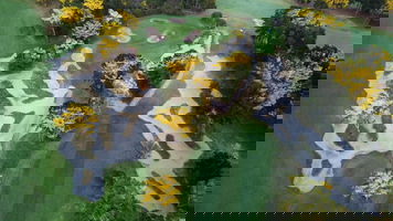 Rosebud Country Club