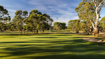 Tanunda Pines Golf Course