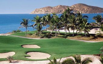 Destination: CABO SAN LUCAS, MEXICO