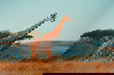 South Africa Golf Tours